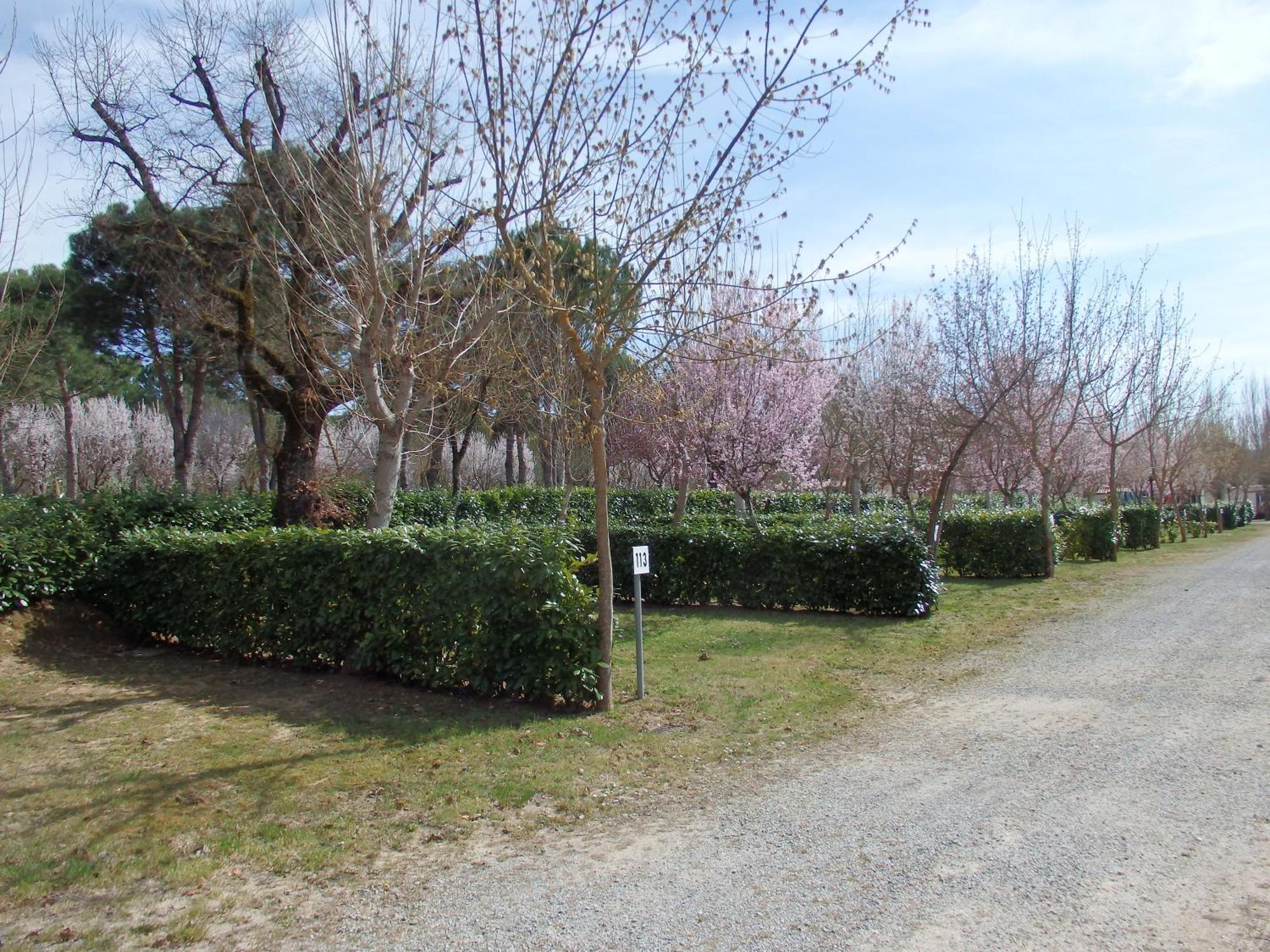 Camping Village La Chiocciola Capannole Dış mekan fotoğraf