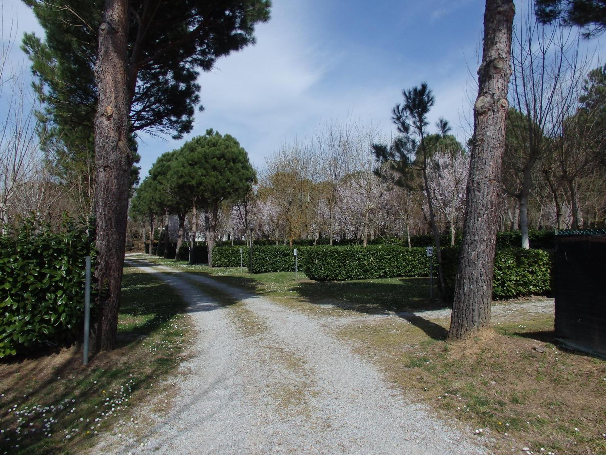 Camping Village La Chiocciola Capannole Dış mekan fotoğraf