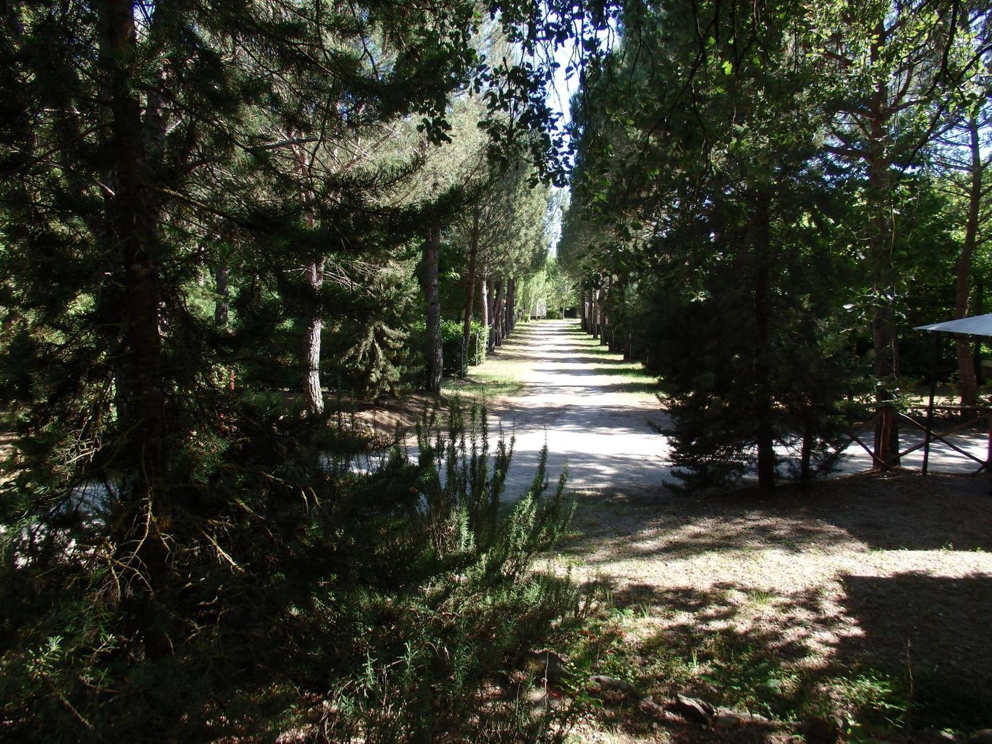 Camping Village La Chiocciola Capannole Dış mekan fotoğraf